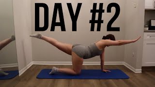 Day 2 Pilates 30 Day Workout Challenge At Home Fitness No Equipment [upl. by Reagen]