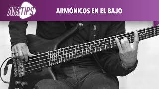 Audiomusica Tips  Armónicos en el bajo [upl. by Annmaria]