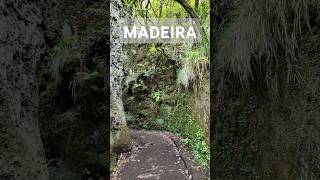 Rock corridor at PR11 Levada dos Balcões madeiraisland levada hiking [upl. by Ingeberg477]