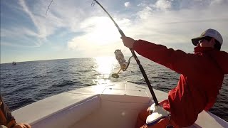 Cape Cod Tuna Fishing 2014 [upl. by Comstock]