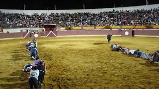 Men Participate in Crawling Race Across Bullfighting Arena  988572 [upl. by Latoye4]