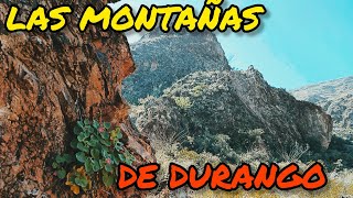 EXPLORANDO LA SIERRA DEL SARNOSO EN VALLECILLOS DGO  MEXICO [upl. by Sarette]