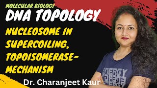 DNA Replication I Topoisomerase Mechanism I Nucleosomes in supercoiling I Dr Charanjeet Kaur [upl. by Heller898]