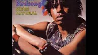 Edwin Birdsong  Rising Sign FunkyClimax 1973 [upl. by Marvella300]