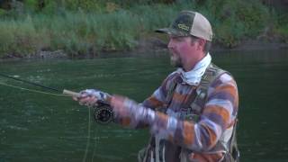 Euro Nymphing Fly Fishing Demonstration w RIO Products  AvidMax [upl. by Dorolice]