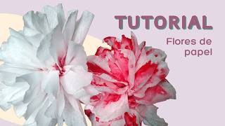 Tutorial Flores de papel crepe [upl. by Kimble]