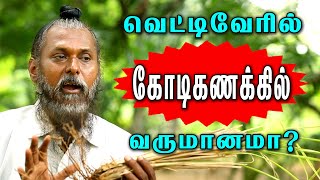 கோடிக்கணக்கில் வருமானம் தரும் வெட்டிவேர்  Tamil nalam  Vettiveru uses in tamil [upl. by Aterg304]