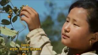 HIMAL PAARI  Januka Rai  Film  Binayo [upl. by Nodnarb]