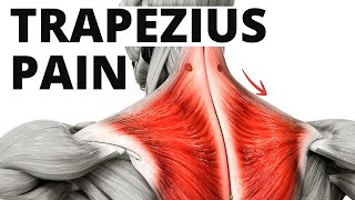 4 Trapezius Muscle Pain Exercises My GoTo For Quick Relief [upl. by Sheelah687]