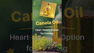 Canola Oil Benefits  Canola Oil Health Benefits  Benefits of Canola Oil  Is Canola Oil Healthy [upl. by Anatolio]