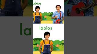 Conoce palabras por la letra L de León 🦁 123andres musicainfantil shortsvideo kidsvideo shorts [upl. by Woodcock]