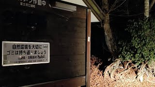 Aokigahara Forest Japan CREEPY amp HORROR [upl. by Yelserp]