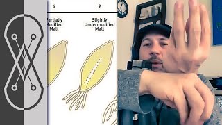 How To Malt Barley At Home  Advice From A Professional [upl. by Lat]