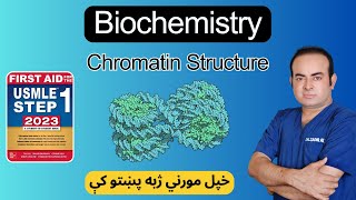 Chromatin Structure  Biochemistry  First Aid USMLE Step1 [upl. by Glasgo]