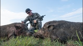 Hunting HUGE Feral Hogs on Farm Land [upl. by Htinek755]