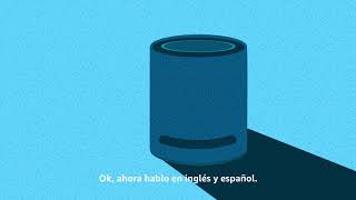 How to Talk to Alexa in English and Spanish  Amazon Alexa [upl. by Acirretal]