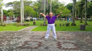 Taiji Qigong Shibashi  Set 3 [upl. by Enaile]