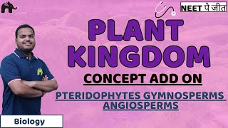 Plant Kingdom Class 11 Biology NEET  Pteridophytes Gymnosperms Angiosperms [upl. by Salisbury788]