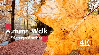 Autumn Walk 🍁4K in Edinburgh  Scotland  Fall Foliage  Fall Colours  Finding Wonders [upl. by Nogas]