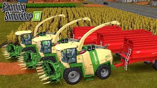 18 Akcja kukurydza  Timelapse   quotOd zera do Milioneraquot Farming Simulator 18  FS 18 [upl. by Aroled]