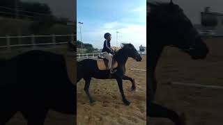 Equitazione con Freia 🥰🐎 [upl. by Bobby455]