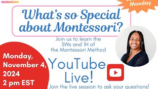 Whats so Special about Montessori [upl. by Ausoj]