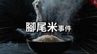 3位大學生是怎樣耍了4家新聞台？《腳尾米事件》 [upl. by Jase442]