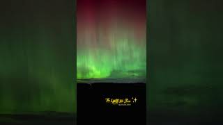 Northern Lights ✨ canada northernlights sky stars wonders youtubeshorts nature photography [upl. by Dunton880]