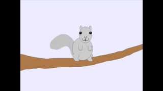 The Squirrel Song [upl. by Wally]