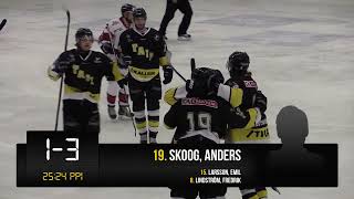 Highlights Tranås AIF  Nybro Vikings 23  Hockeyettan Södra 1617  20161019 [upl. by Drofyar456]