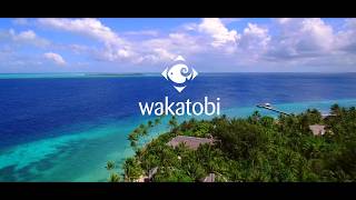 Wakatobi Dive Resort [upl. by Megargee395]