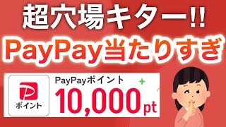 【ガチ】コレあんまり広めないでね…【PayPay】 [upl. by Narayan]