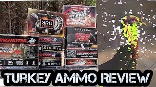 Ultimate Turkey Ammo Review Lead Heavy Shot and TSS [upl. by Llerret]