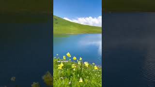 ❤ youtubeshorts trenddingshorts love bollywoodsongs naturelovers youtubevideo [upl. by Rahmann]