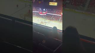 Calgary flames goal horn live [upl. by Trude]