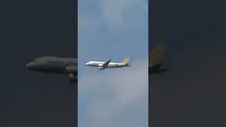 Cebu Pacific Airbus 320 Sharklet plane letsflyeveryjuan cebupacificair [upl. by Ecyor756]