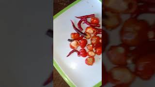 Chilli pickle Recipe🌶jolokia achar shorts youtubeshorts food short shortvideo pickle recipe [upl. by Adyela]