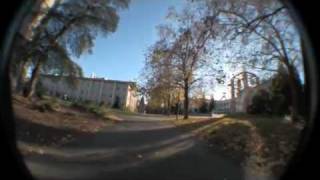 Sonoma State University library entrance and second level [upl. by Enelie]