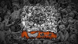 REVULSED  INTO THE PIT TESTAMENT COVER TRACK 2018 [upl. by Novoj]