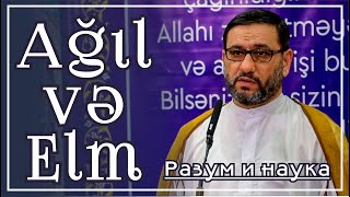 Haci Şahin  Ağıl və Elm Разум и наука [upl. by Rett117]