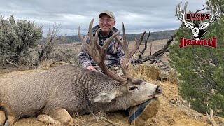 Tank  Jim Ziemer  2022 Mule Deer [upl. by Eniarrol]