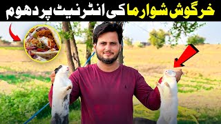 Rabbit Shawarma Recipe  Khargosh Ka Shawarma  Shawarma Recipe 2024 [upl. by Sackville]