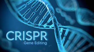 Child Editing By CRISPR Technology [upl. by Neroled294]