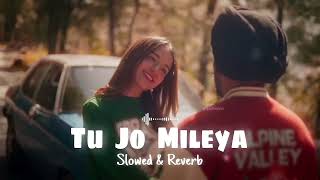 JUSS  Tu Jo Mileya Slowed amp Reverb MixSingh  New Punjabi Romantic Song 2024  Mohib Beats [upl. by Phares184]