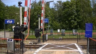 Spoorwegovergang Spaubeek  Dutch railroad crossing [upl. by Alek930]