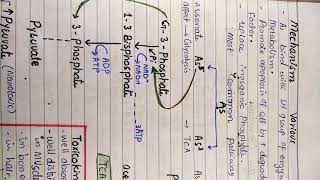 Arsenic poisoning mechanism [upl. by Bodrogi930]