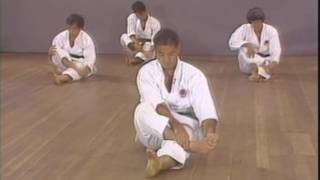 Karatê Shotokan Fundamentos [upl. by Lippold]