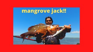 Big Mangrove Jack caught off the wall using a leavy lure  browndirty water [upl. by Haleak]