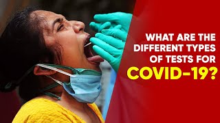 What Is The Difference Among RTPCR Antibody amp Antigen Tests Of Coronavirus  NewsMo [upl. by Bull]