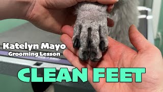 Grooming Lesson How to Groom Clean Shaved Poodle Feet [upl. by Attenahs623]